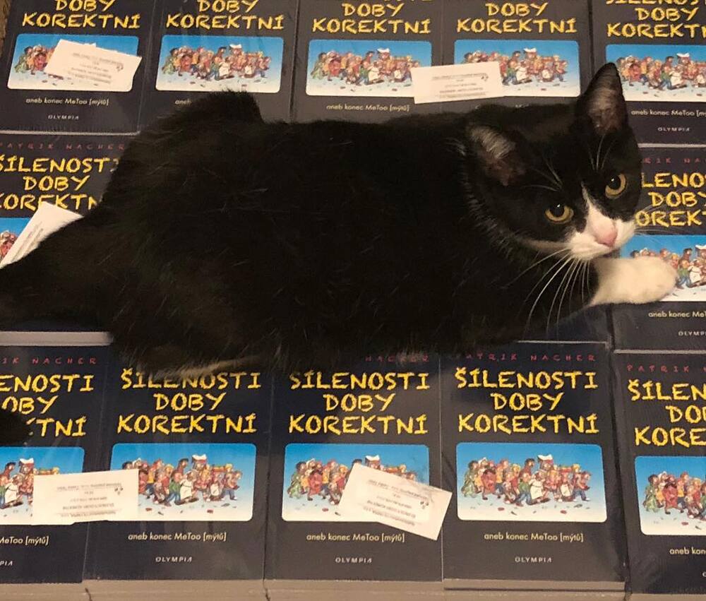 Šílenosti doby korektní Šílenosti doby korektní