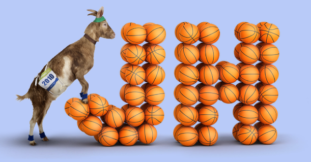 Basket_Fio_banka_Jindrichuv_Hradec