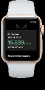 Smart Banka_Apple Watch app
