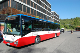 Linka 381_01_m
